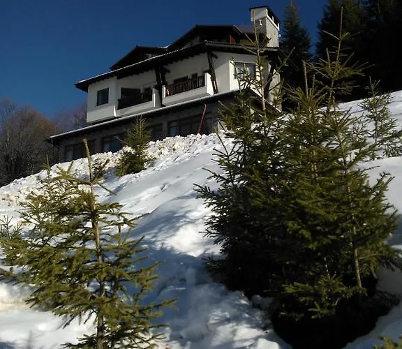 Guest house The Poppies House